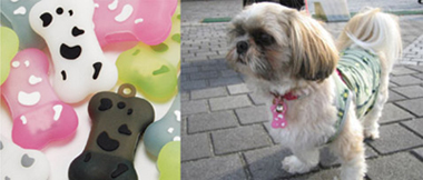 USB Dog tag